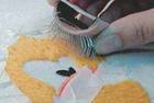 brush-out-kit_2